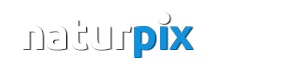 naturpix